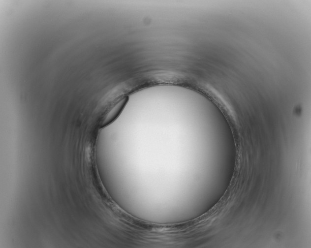 X0000095130117200712071017