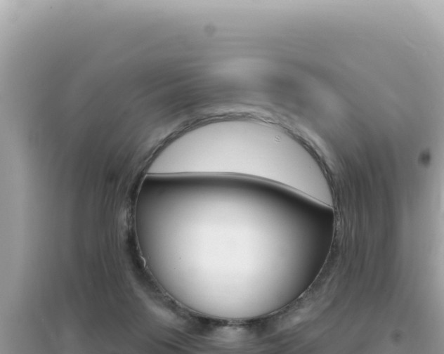 X0000095130119200712071017