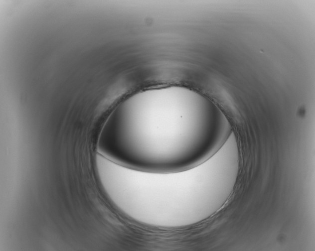 X0000095130120200712071017