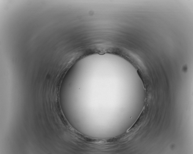 X0000095130121200712071017
