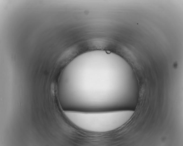 X0000095130122200712071017