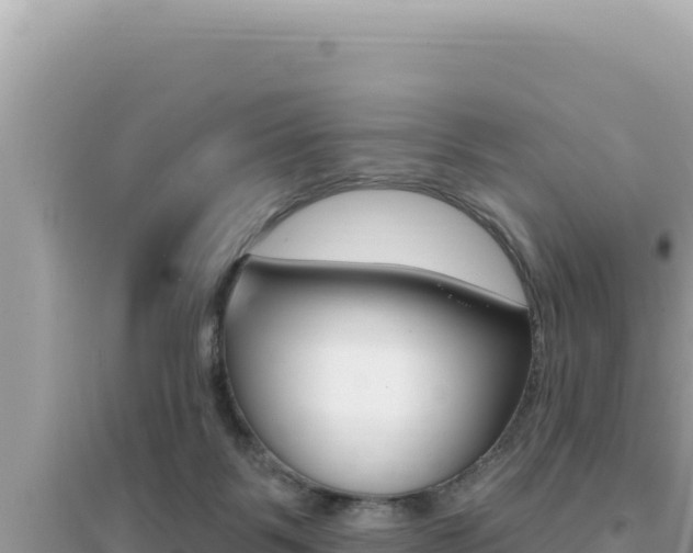 X0000095130123200712071017