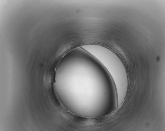 X0000095130124200712071017