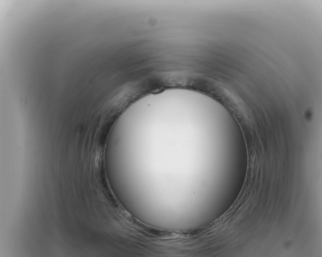 X0000095130125200712071017