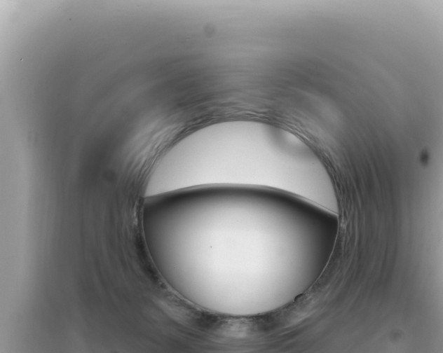 X0000095130127200712071017