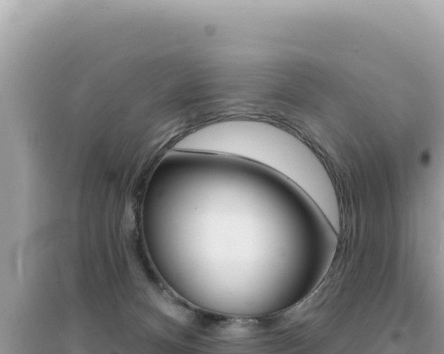 X0000095130128200712071017