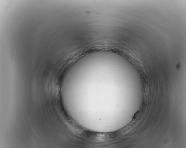 X0000095130130200712071017