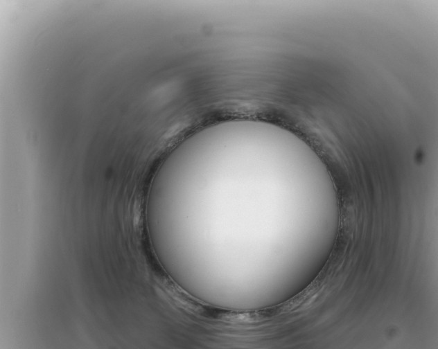 X0000095130131200712071017