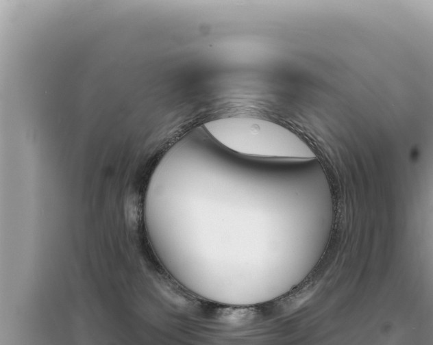 X0000095130135200712071017