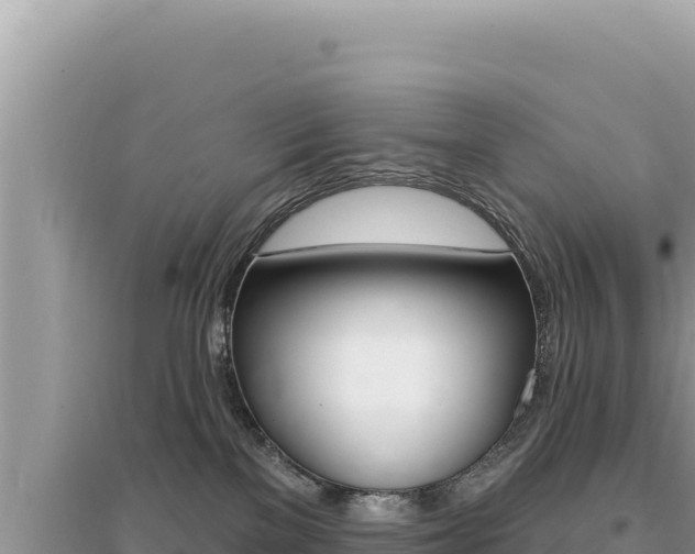 X0000095130137200712071017