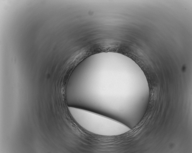 X0000095130138200712071017