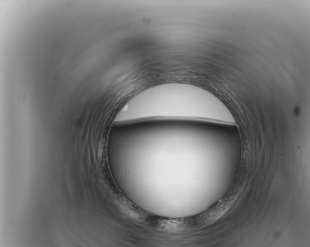 X0000095130139200712071017