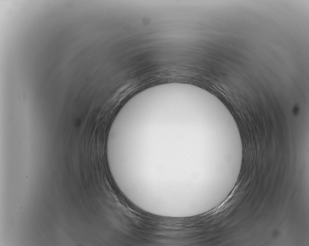 X0000095130140200712071017