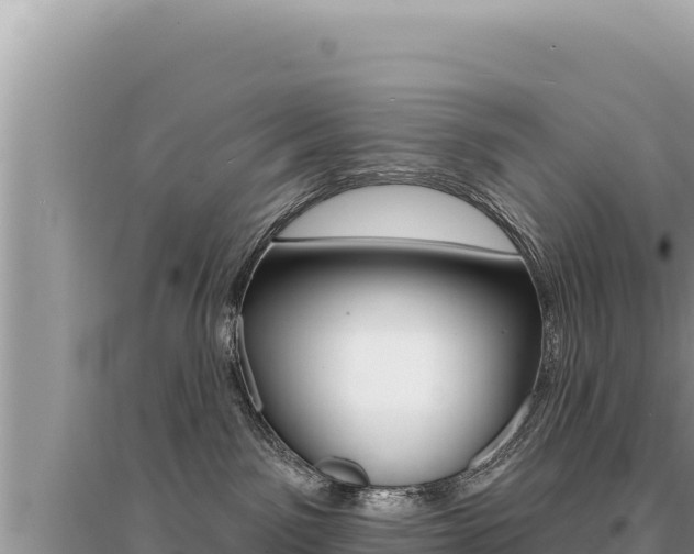 X0000095130141200712071017