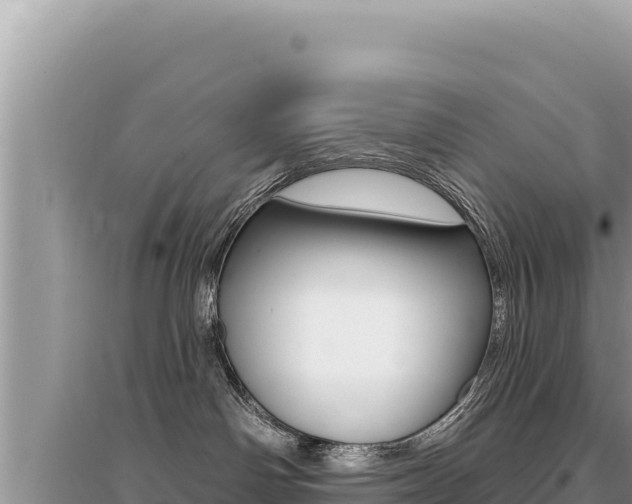 X0000095130142200712071017