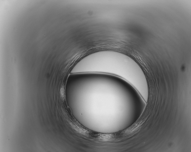 X0000095130143200712071017