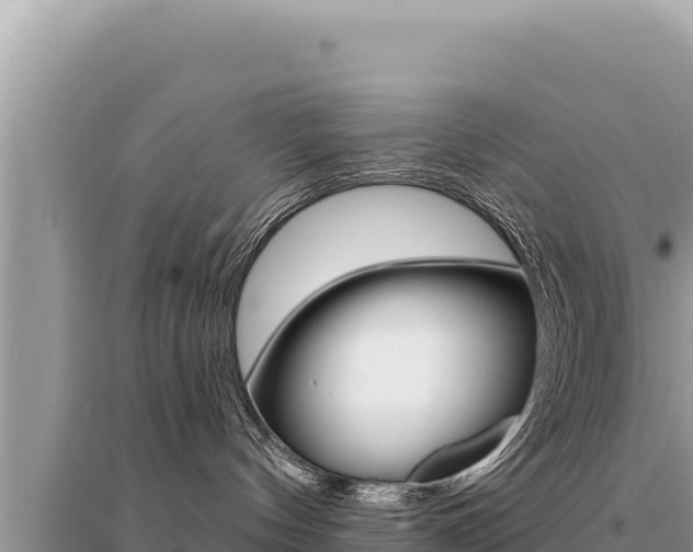 X0000095130144200712071017