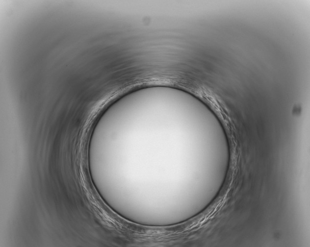 X0000095130145200712071016