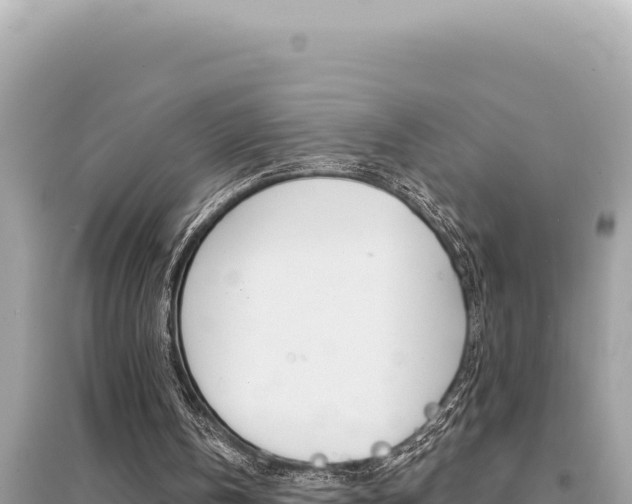 X0000095130146200712071016