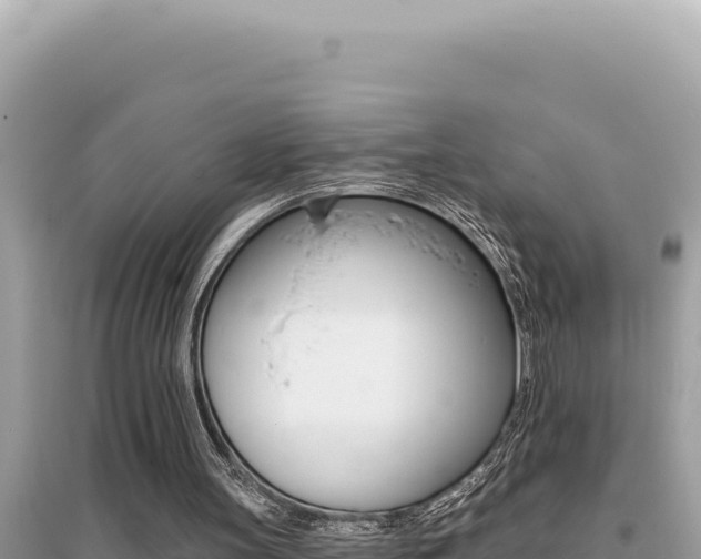 X0000095130147200712071016