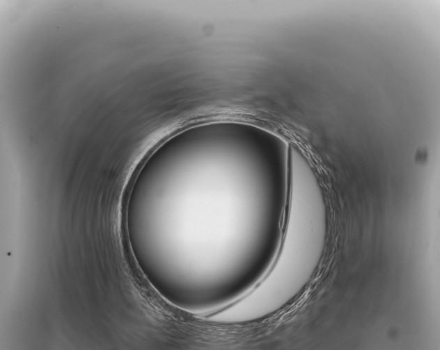 X0000095130148200712071016
