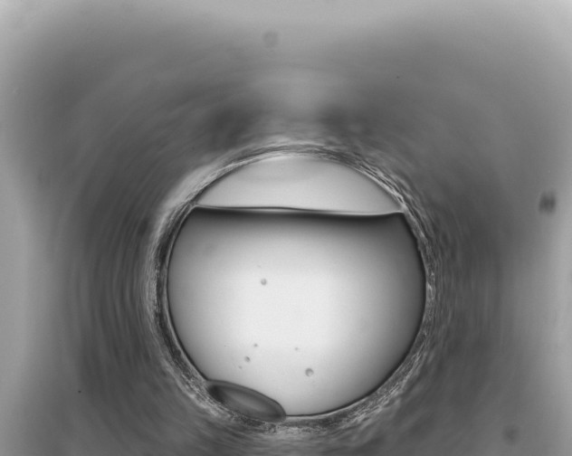 X0000095130149200712071016