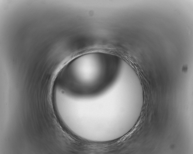 X0000095130150200712071016