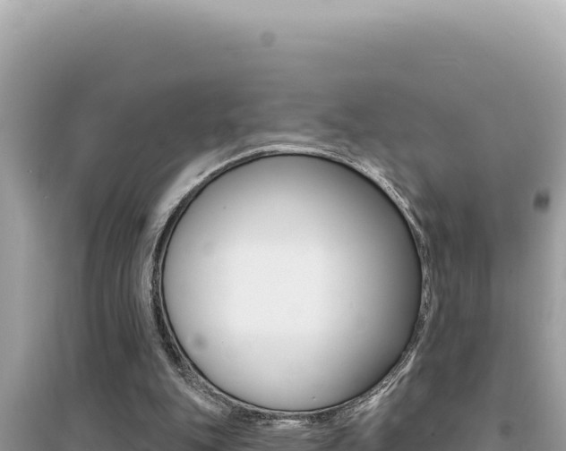 X0000095130151200712071016