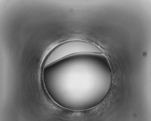 X0000095130152200712071016