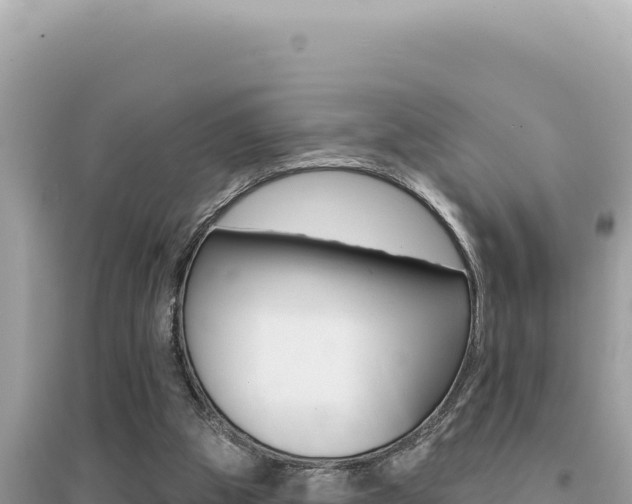 X0000095130153200712071016