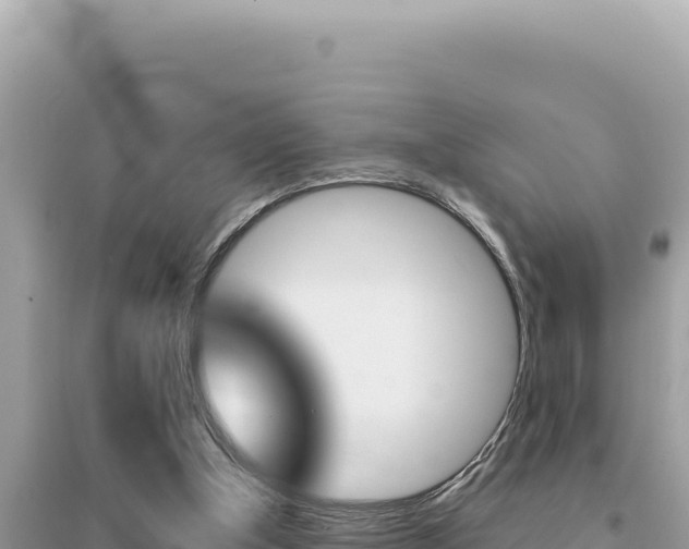 X0000095130154200712071016