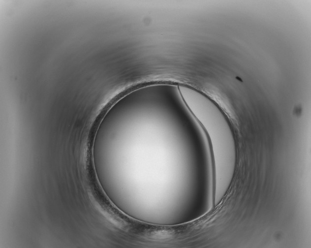X0000095130156200712071016