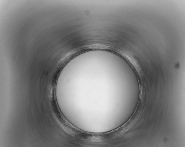X0000095130157200712071016