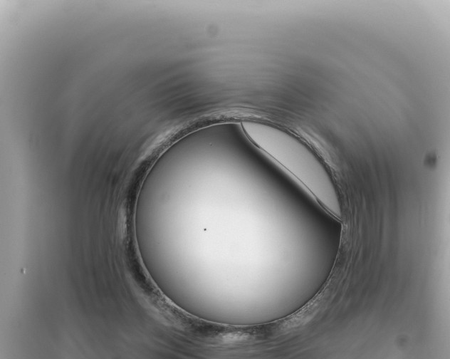 X0000095130158200712071016