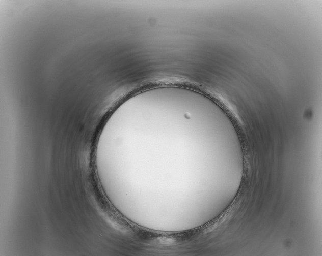 X0000095130159200712071016