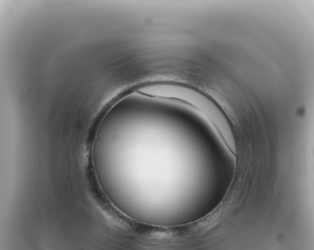 X0000095130160200712071016