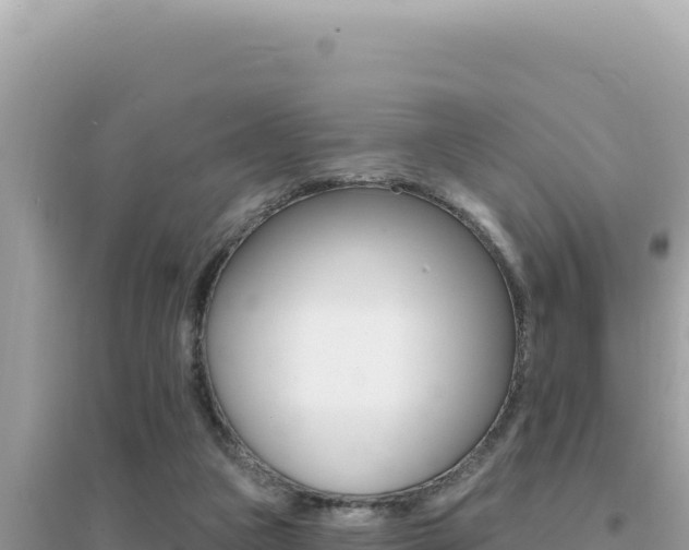 X0000095130161200712071016