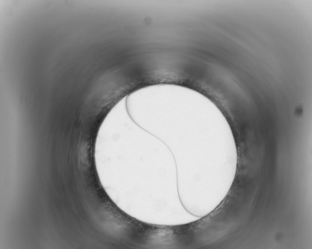 X0000095130162200712071016