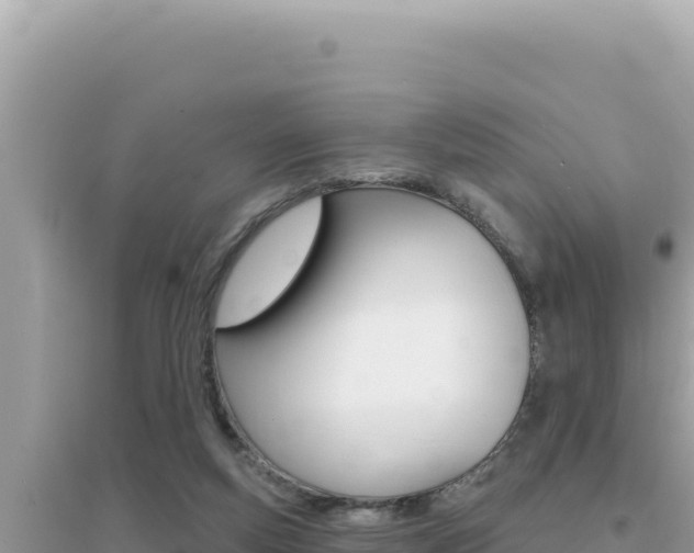 X0000095130163200712071016