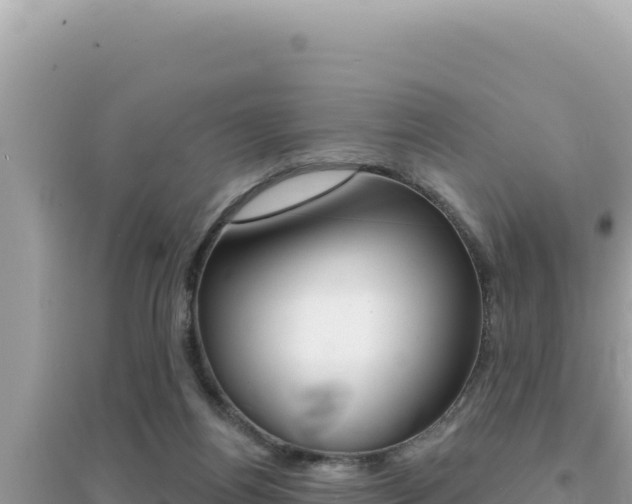 X0000095130164200712071016