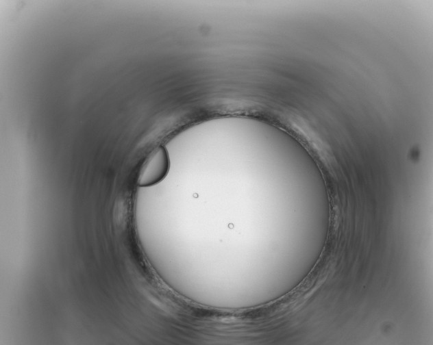 X0000095130165200712071016