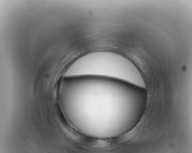 X0000095130166200712071016