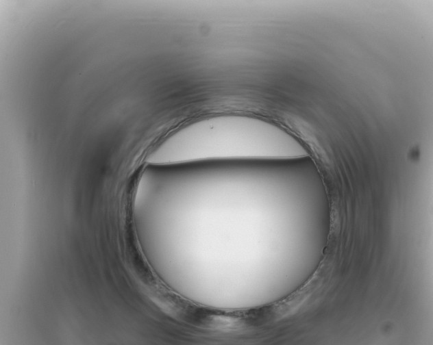 X0000095130167200712071016