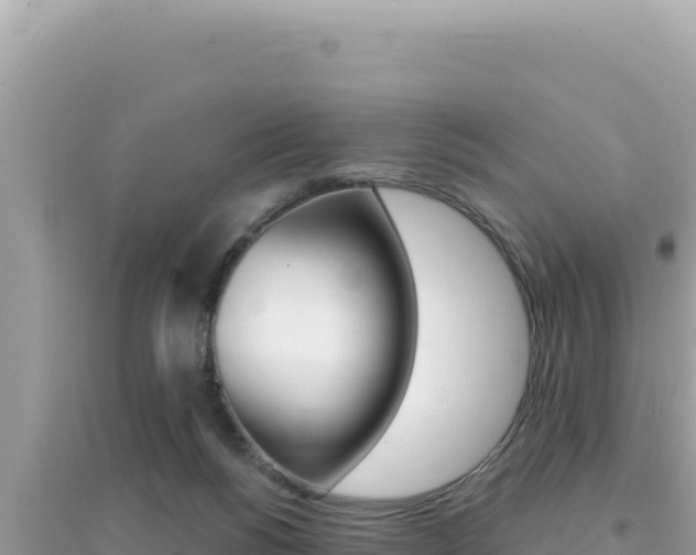 X0000095130168200712071016