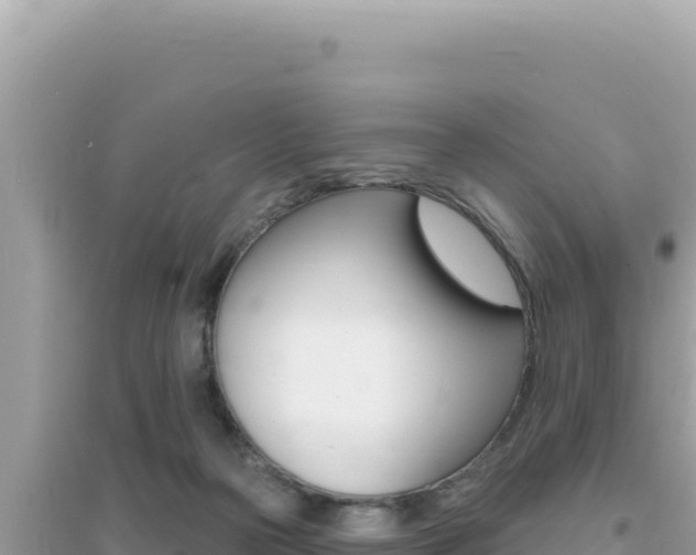 X0000095130169200712071016