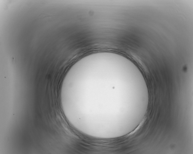 X0000095130170200712071016