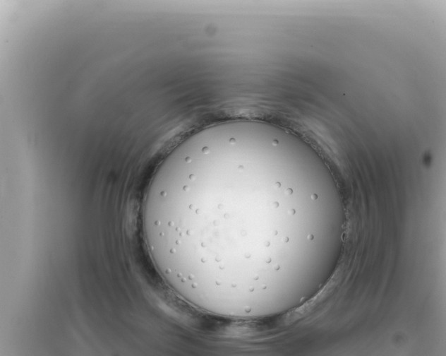 X0000095130171200712071016