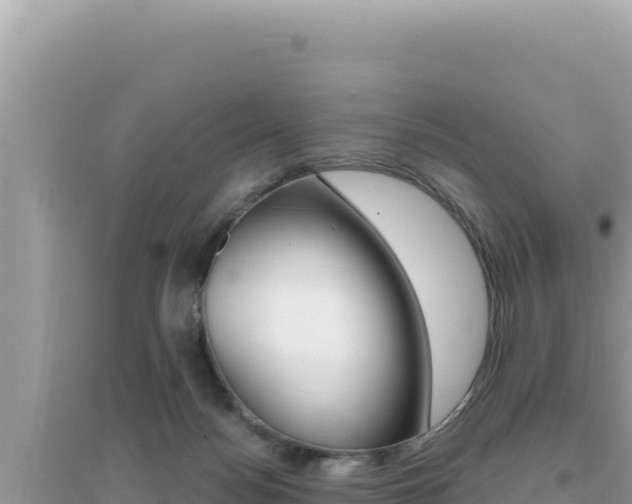 X0000095130172200712071017