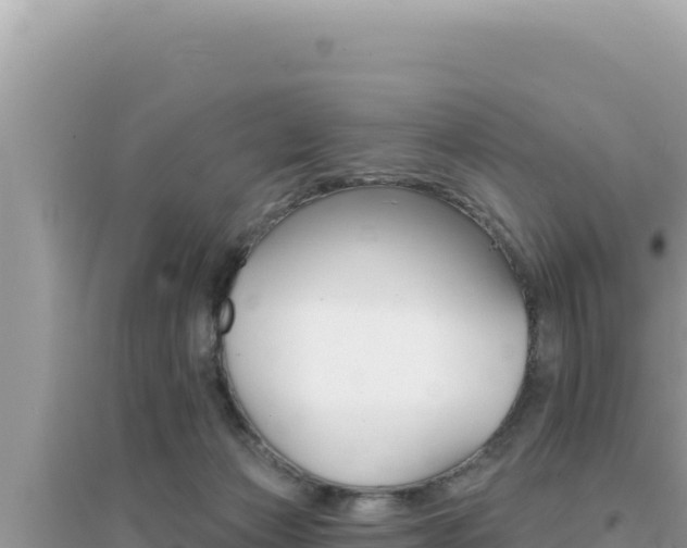 X0000095130173200712071017