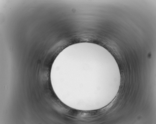 X0000095130174200712071017
